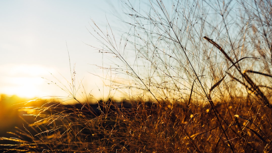 Post-Processing Workflow